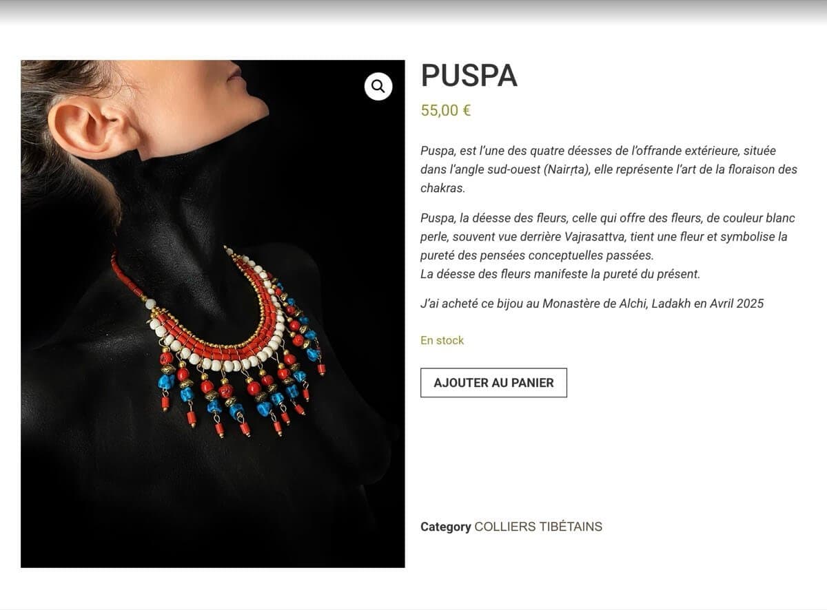 Boutique en ligne Dit Cheyenne