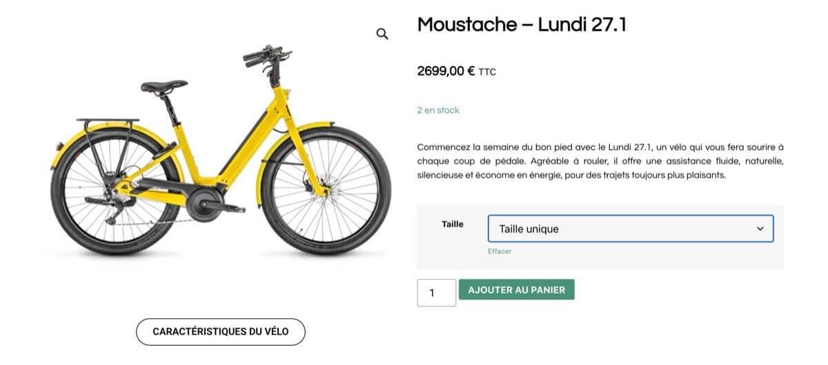 Page article du site Joe Bike